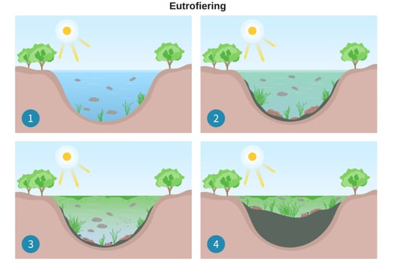 Eutrofiering